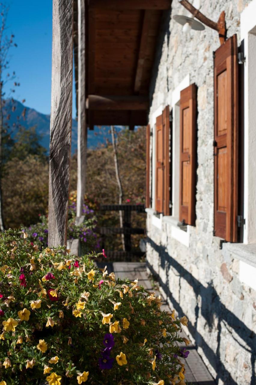 Agriturismo La Pedruscia Civo ภายนอก รูปภาพ