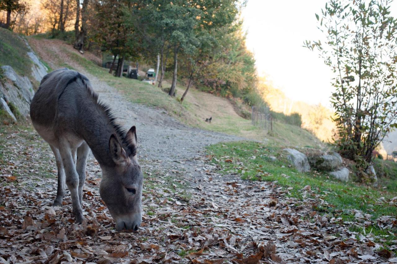 Agriturismo La Pedruscia Civo ภายนอก รูปภาพ